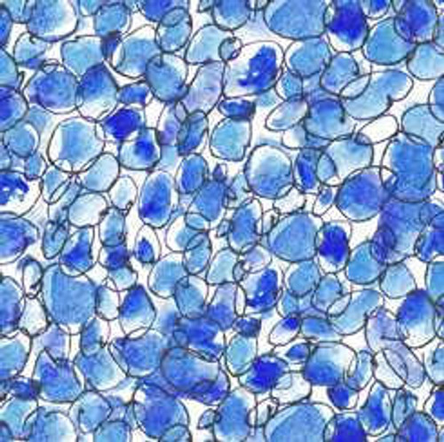 QT FABRICS QT Fabric - Circle Geo Flower Blue 