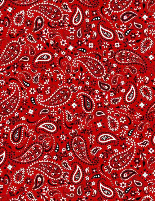  Timeless Treasures Fabric - Western Life Bandana - Red 